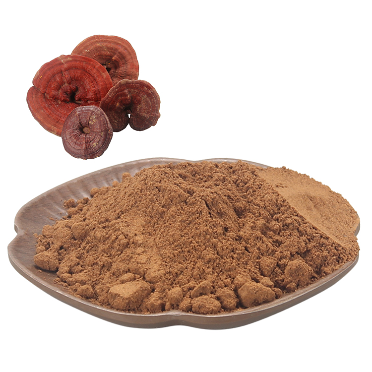 Discover the Science Behind Beta-Glucans in Reishi